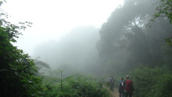 ���� �����������: ������������, �������� 2013 ����, �����