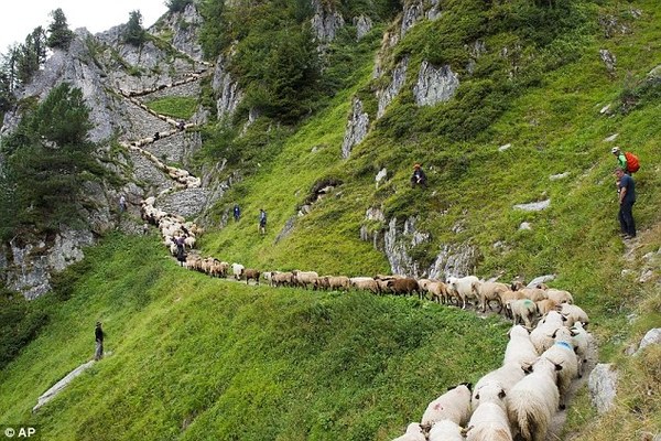 ���������.  ������, ���� 101