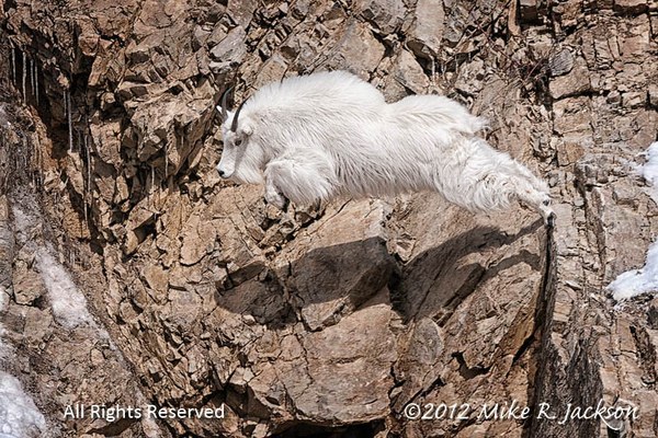 ���������.  ������, ���� 102